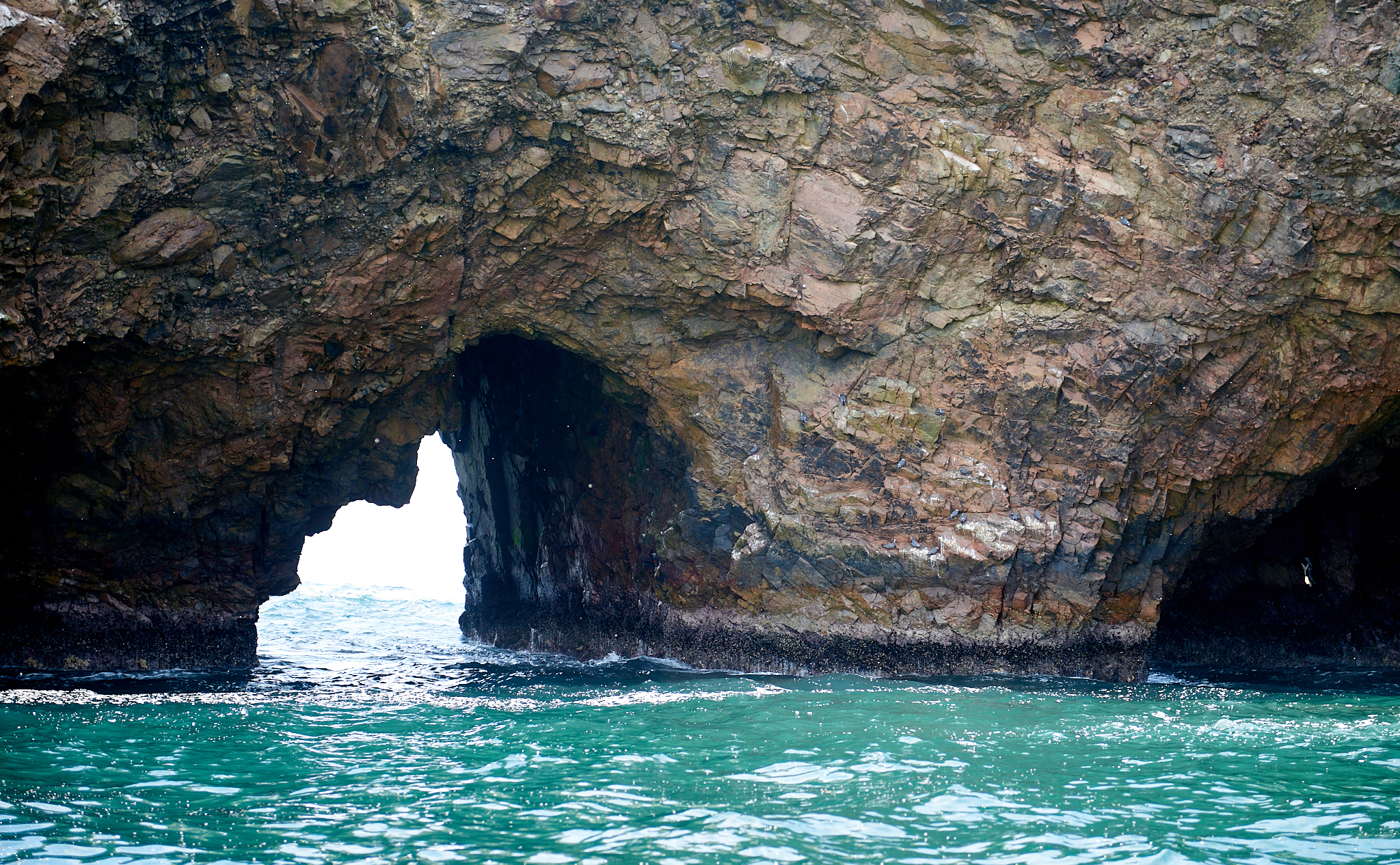 20200304 140 [페루] 바예스타섬